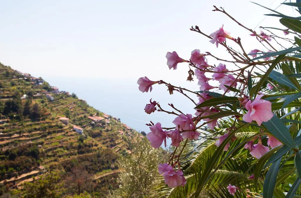 Il Nettare Hotel Riomaggiore 0*,