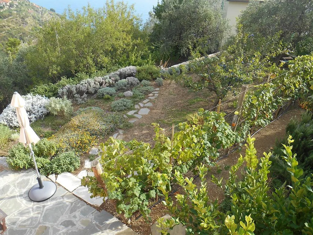 Il Nettare Hotel Riomaggiore Guest house